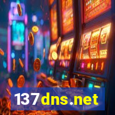 137dns.net