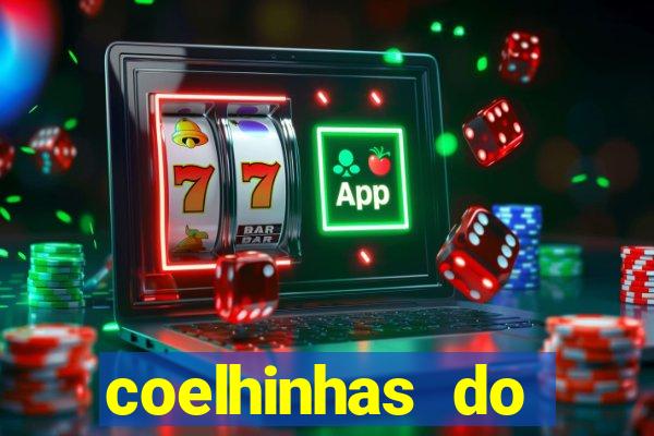 coelhinhas do brasil acompanhantes