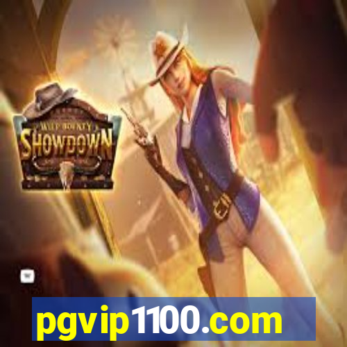 pgvip1100.com