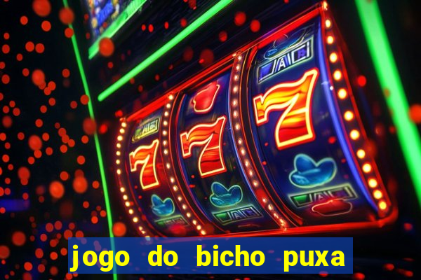 jogo do bicho puxa de dona maria