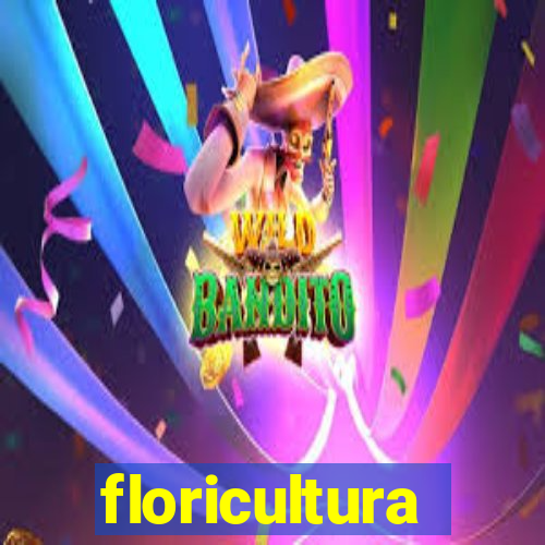 floricultura juazeiro bahia