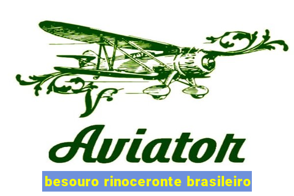 besouro rinoceronte brasileiro