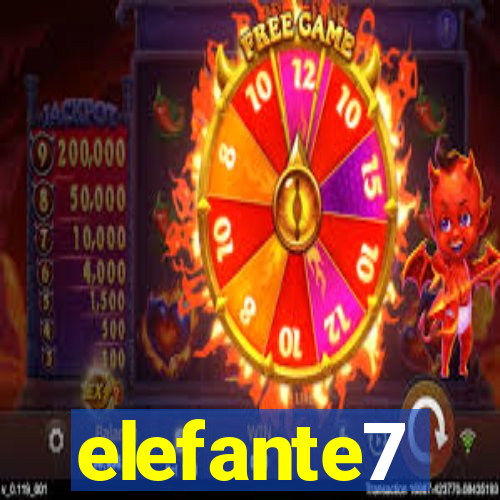 elefante7