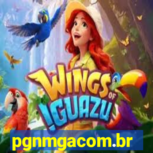 pgnmgacom.br